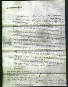 Court of Common Pleas - Celia Walker and Mary Walker-Original Ancestry