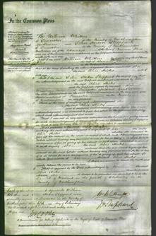 Court of Common Pleas - Alice Hicks-Original Ancestry