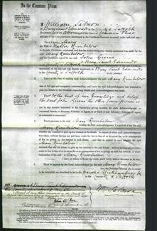 Court of Common Pleas - Mary Rumbelow-Original Ancestry