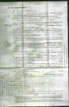 Court of Common Pleas - Caroline Brownsden-Original Ancestry