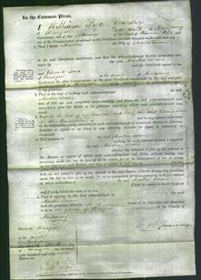 Court of Common Pleas - Martha Turner-Original Ancestry