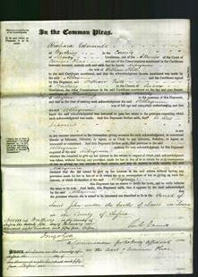 Court of Common Pleas - Alkeymire Hill-Original Ancestry