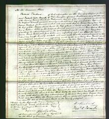 Court of Common Pleas - Mary Ann Weaver-Original Ancestry