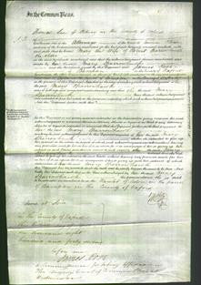 Court of Common Pleas - Mary Sparrowhawk-Original Ancestry