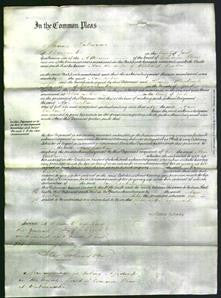 Court of Common Pleas - Ann Cockin-Original Ancestry