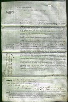 Court of Common Pleas - Eliza Minto Howard-Original Ancestry