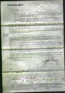 Court of Common Pleas - Elizabeth Hunsdon-Original Ancestry