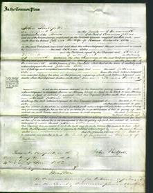 Court of Common Pleas - Catherine Wells-Original Ancestry