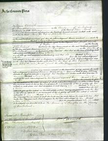 Court of Common Pleas - Mary Newton-Original Ancestry