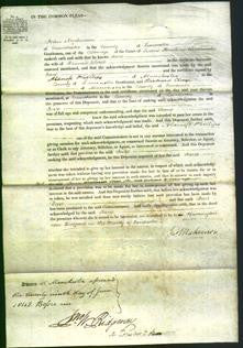 Court of Common Pleas - Jane Ward-Original Ancestry