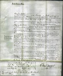 Court of Common Pleas - Ann Hardy-Original Ancestry