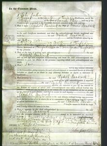 Court of Common Pleas - Elizabeth Woodcock-Original Ancestry