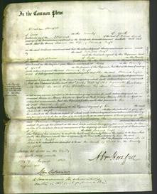 Court of Common Pleas - Frances Croft-Original Ancestry