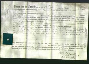Deed by Married Women - Elizabeth Proctor-Original Ancestry