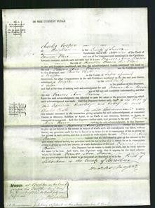 Court of Common Pleas - Mary Stanley-Original Ancestry