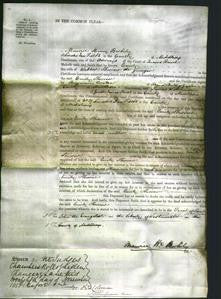 Court of Common Pleas - Emily Skirrow-Original Ancestry