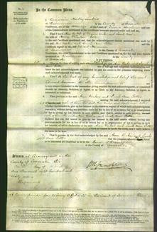 Court of Common Pleas - Ann Baker and Sarah Ann Potter-Original Ancestry