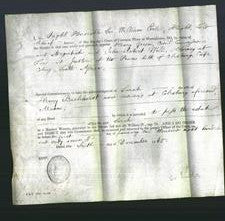 Appointment of Special Commissioners - Henry Green and John Robert Will-Original Ancestry