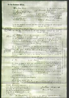 Court of Common Pleas - Fanny Ball-Original Ancestry