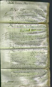 Court of Common Pleas - Judith Ann Graham-Original Ancestry