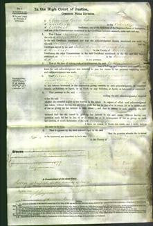 Court of Common Pleas - Mary Jane Jones-Original Ancestry