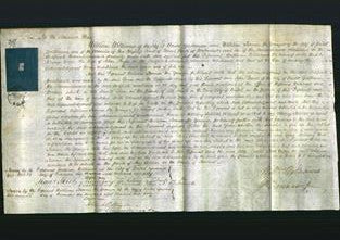 Court of Common Pleas - Grace Fryer-Original Ancestry