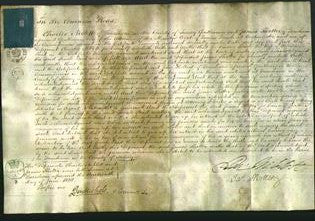 Court of Common Pleas - Sarah Bird-Original Ancestry
