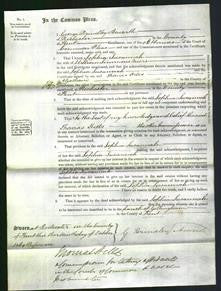 Court of Common Pleas - Sophia Susannah Meers-Original Ancestry