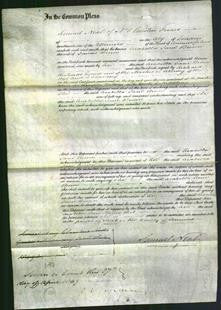 Court of Common Pleas - Arabella Jane Brown-Original Ancestry