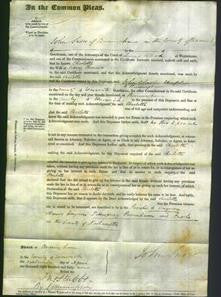 Court of Common Pleas - Charlotte Chavasse-Original Ancestry