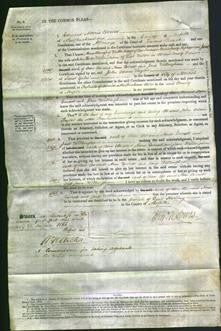 Court of Common Pleas - Anne Everett-Original Ancestry