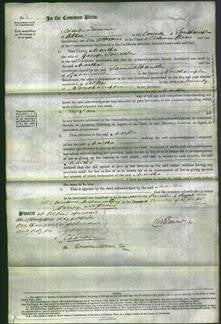 Court of Common Pleas - Martha Trussler-Original Ancestry