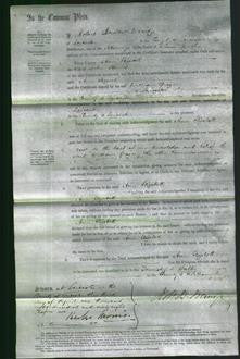 Court of Common Pleas - Ann Elizabeth Hames-Original Ancestry