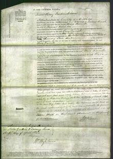 Court of Common Pleas - Clara Harriette Robinson-Original Ancestry