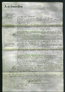 Court of Common Pleas - Anne Davies, Catherine Watkins and Margaret Jenkins-Original Ancestry