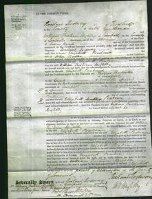 Court of Common Pleas - Elizabeth Prudence Butler-Original Ancestry
