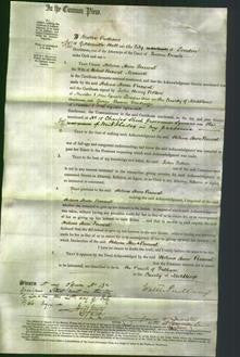 Court of Common Pleas - Helen Anne Perceval Maxwell