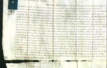 Court of Common Pleas - Mary Gould-Original Ancestry