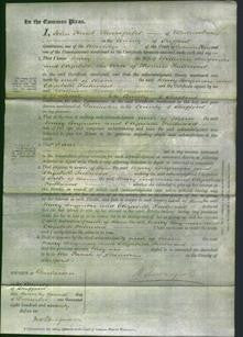 Court of Common Pleas - Mary Longmore and Elizabeth Fullwood-Original Ancestry