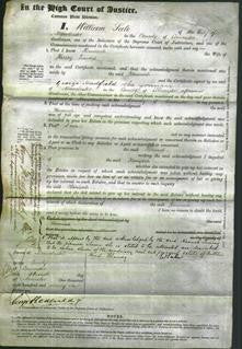 Court of Common Pleas - Hannah Timms-Original Ancestry