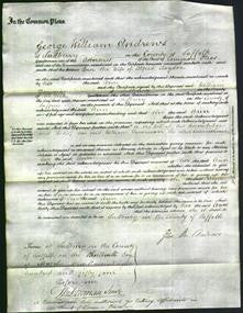 Court of Common Pleas - Ann Claydon-Original Ancestry