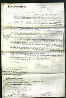 Court of Common Pleas - Rachel Anderson-Original Ancestry