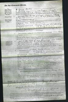 Court of Common Pleas - Ann Simpson, Mary Whitelamb, Susan Shelley amd Fanny Bush-Original Ancestry