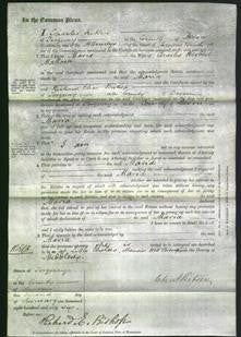 Court of Common Pleas - Maria Mallock-Original Ancestry