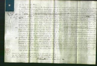 Court of Common Pleas - Anne Donnison-Original Ancestry