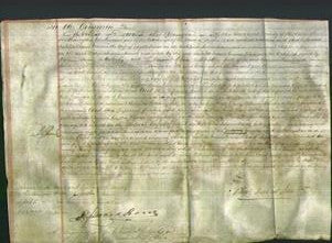 Court of Common Pleas - Isabella Diana Emma Davis Silver-Original Ancestry