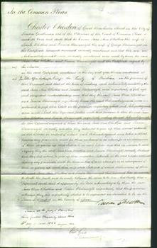 Court of Common Pleas - Jane Ann Whitlow and Louisa Wainwright-Original Ancestry