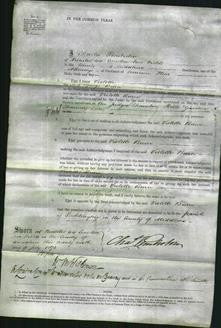 Court of Common Pleas - Violette Burn-Original Ancestry