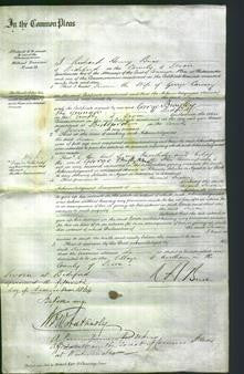 Court of Common Pleas - Susan Cawsey-Original Ancestry