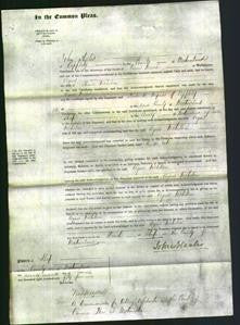 Court of Common Pleas - Agnes Nicholson-Original Ancestry